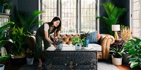 Se upp för dessa 5 tecken som din krukväxt dör: Aria's Blog